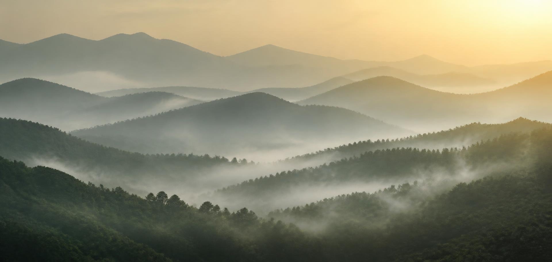Layered misty green hills at dawn